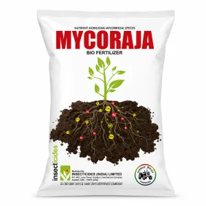 Mycoraja