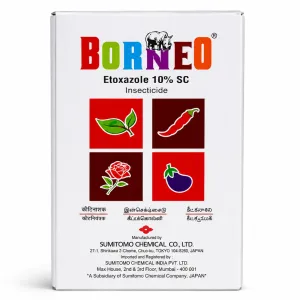 Borneo