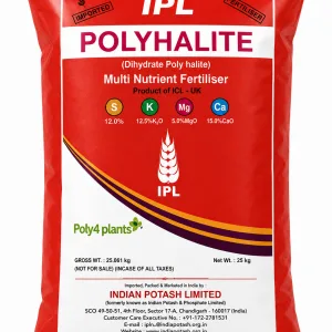 Polyhalite