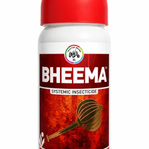 BHEEMA