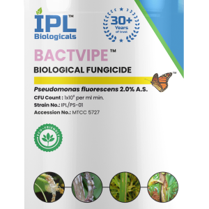 Bactvipe