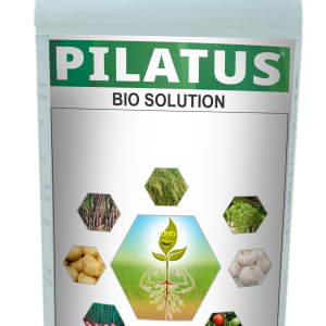 Pilatus
