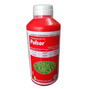 Pulsor