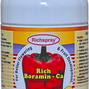 Rich Boramin Ca