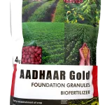 Aadhar Gold