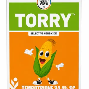 Torry