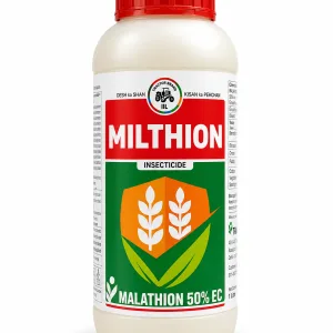 Milthion