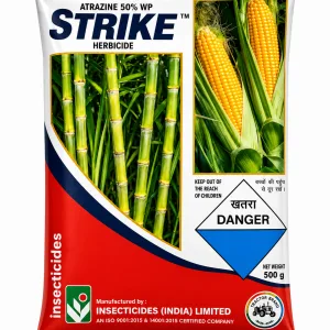 Strike