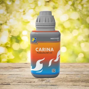 CARINA