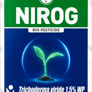 Nirog