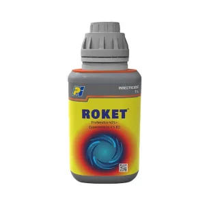 ROKET
