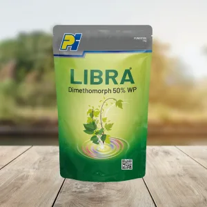 Libra