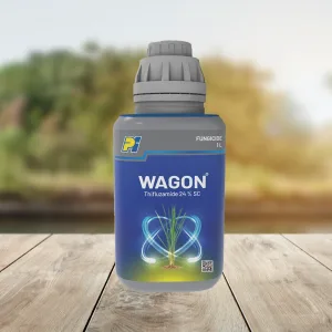 Wagon