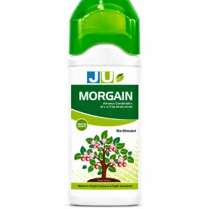MORGAN