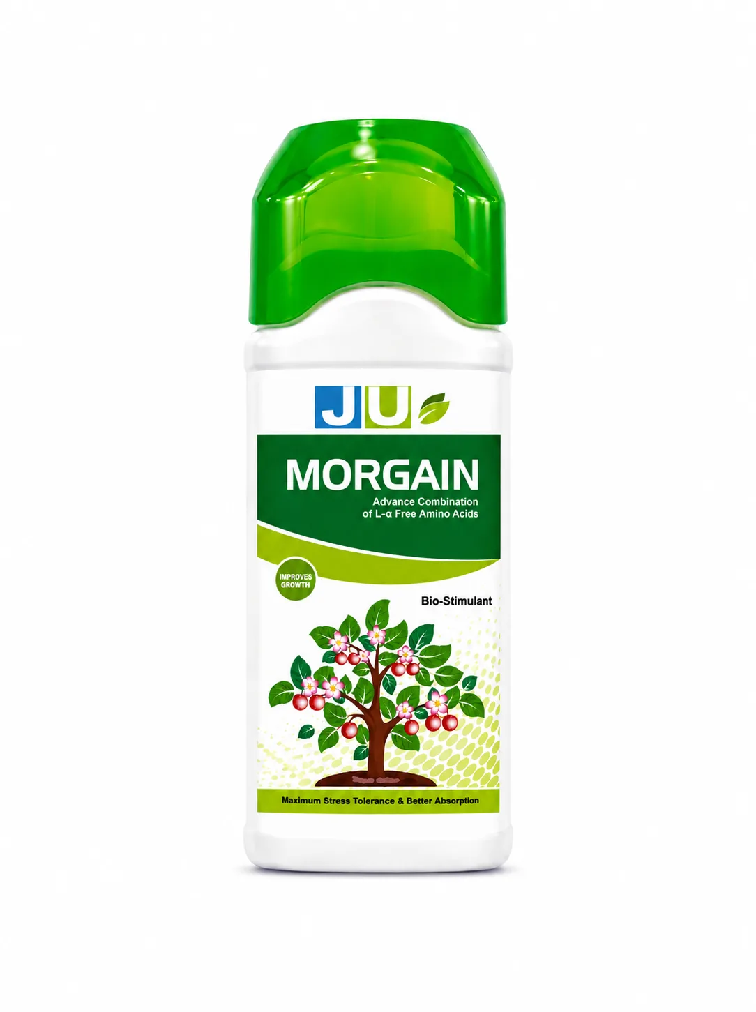 MORGAN