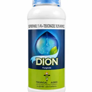 DION