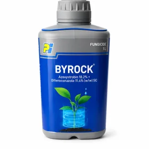 BYROCK PI