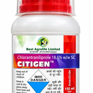 Citigen
